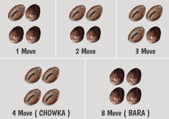 Cowrie-shell throw